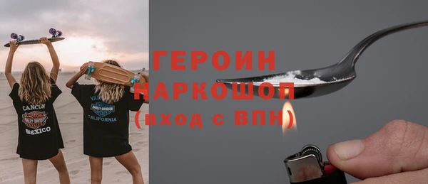 хмурый Алексин