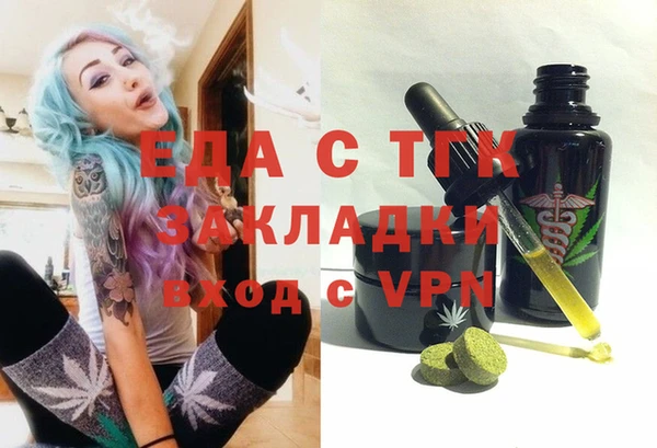 хмурый Алексин