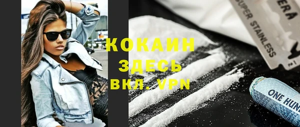 хмурый Алексин